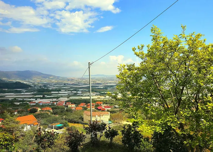 Mountain Paradise 아파트
